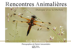 Rencontres animalières, dialogue avec la libellule