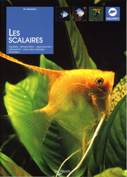 Les scalaires