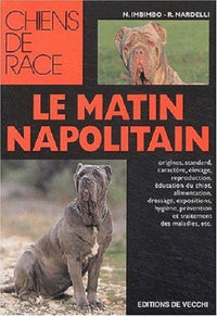 MATIN NAPOLITAIN