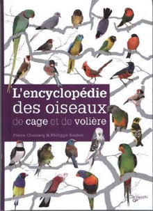 ENCYCLOPEDIE DES OISEAUX