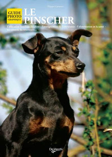 Le Pinscher