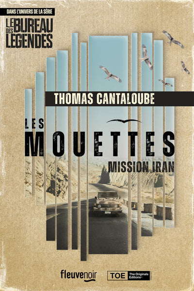 Les mouettes - Mission Iran