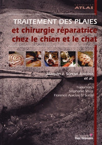 Traitement des plaies et chirurgie réparatrice chez le chien
