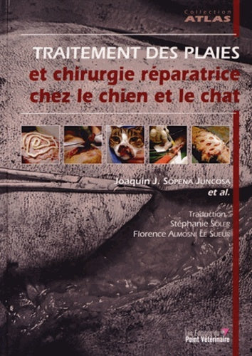 Traitement des plaies et chirurgie réparatrice chez le chien