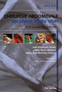 Chirurgie de l abdomen chez le chien et le chat