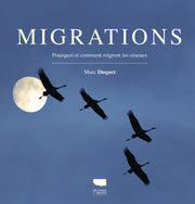 Migrations