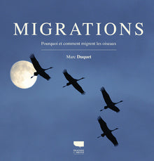 Migrations: Pourquoi et comment migrent les oiseaux