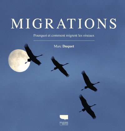 Migrations: Pourquoi et comment migrent les oiseaux