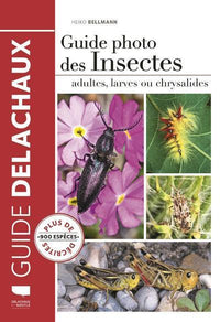 Guide photo des insectes: Adultes, larves ou chrysalides