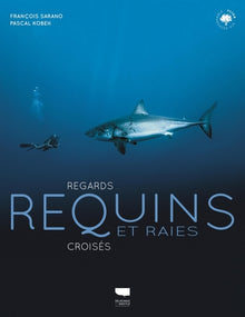 Requins et raies: Regards croisés
