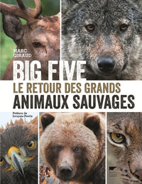 Big Five