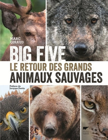 Big Five