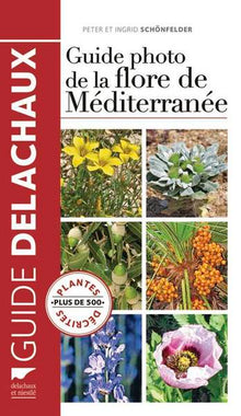 Guide photo de la flore de Méditerranée