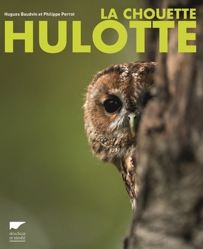 La Chouette hulotte