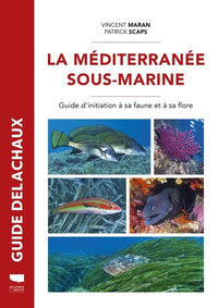 Méditerranée sous-marine
