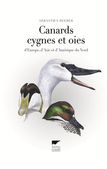 Canards, cygnes et oies