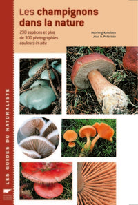 Les Champignons dans la nature