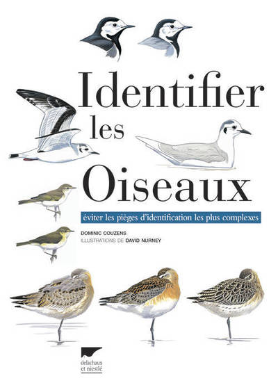 Identifier les oiseaux