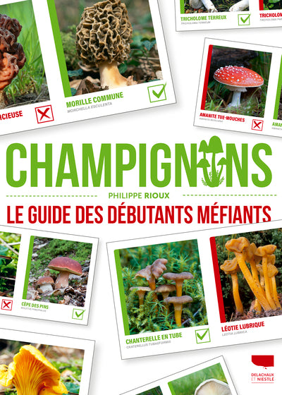 Champignons