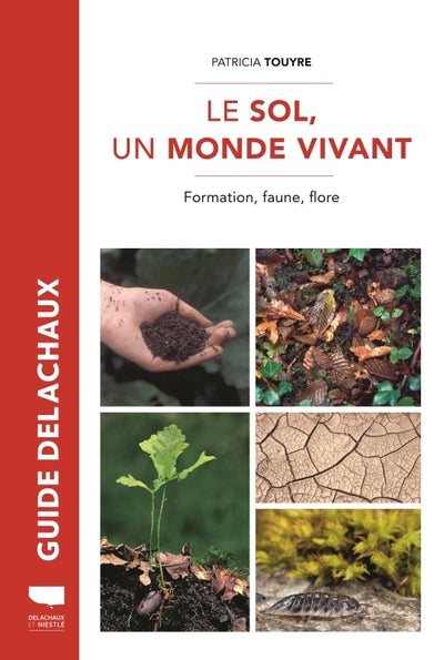 Le sol, un monde vivant