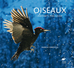 Oiseaux