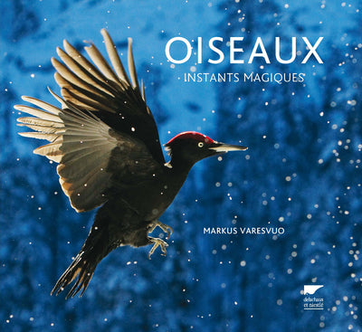 Oiseaux
