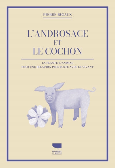 L'androsace et le cochon