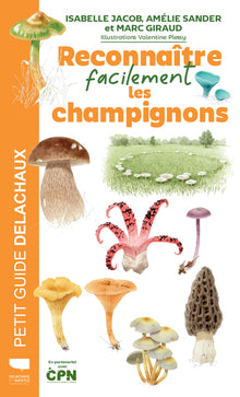 Reconnaître facilement les champignons