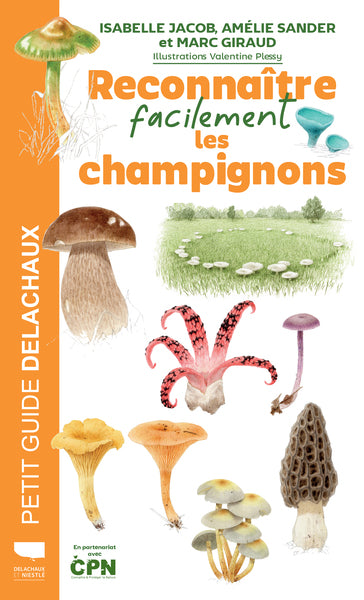 Reconnaître facilement les champignons