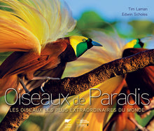Oiseaux de paradis