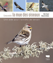 Comprendre la mue des oiseaux: Une aide pour l'ornitho de terrain