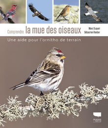 Comprendre la mue des oiseaux: Une aide pour l'ornitho de terrain