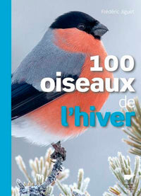 100 oiseaux de l'hiver