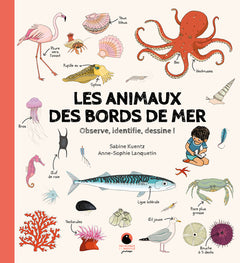 Les Animaux des bords de mer
