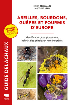Abeilles, bourdons, guêpes et fourmis d'Europe
