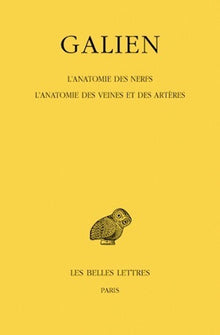 L'Anatomie des nerfs. L'Anatomie des veines et des artères