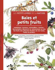 Baies et petits fruits