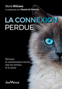 La connexion perdue
