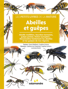 Abeilles et guêpes