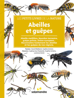 Abeilles et guêpes