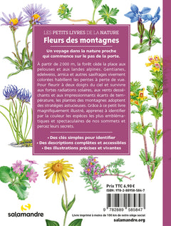 Fleurs des montagnes