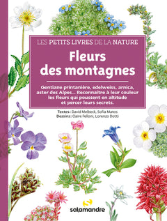 Fleurs des montagnes