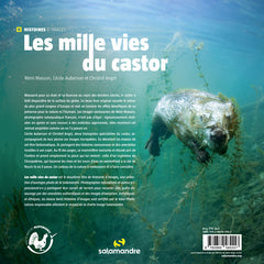 Les mille vies du castor