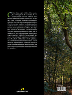 Arbres, secrets de géants
