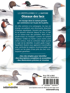 Oiseaux des lacs