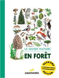 Le guide nature en forêt