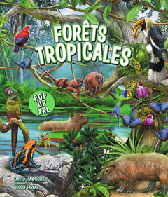 Forêts tropicales - Pop-up XXL