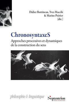 Chronosyntaxes