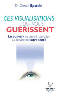 n°13 Ces visualisations qui vous guérissent