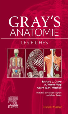 Gray's anatomie - Les fiches